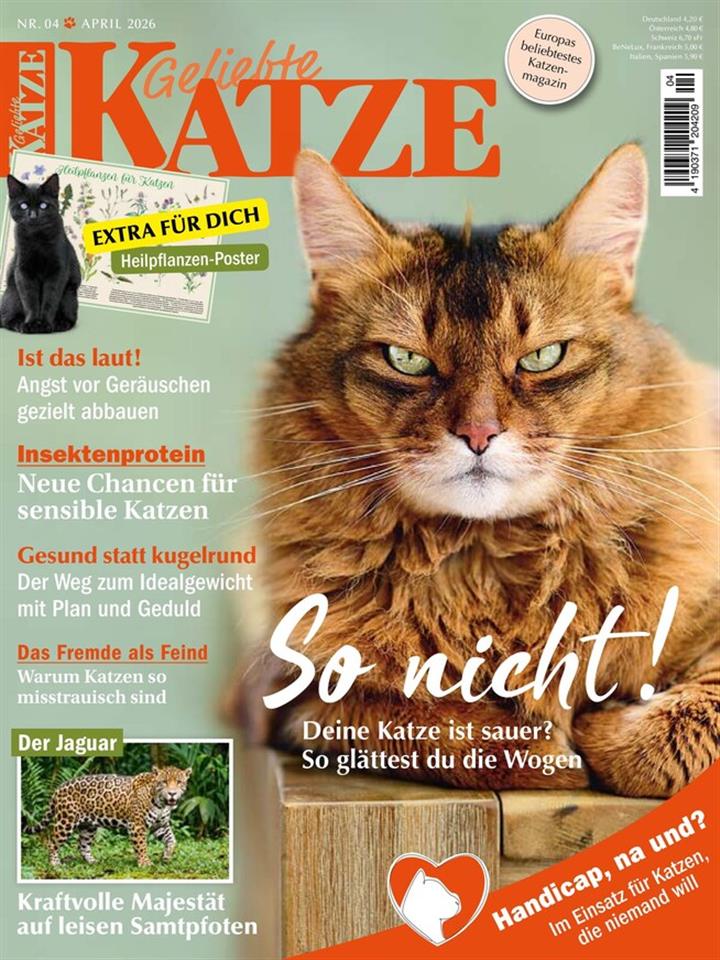 Geliebte Katze Abo