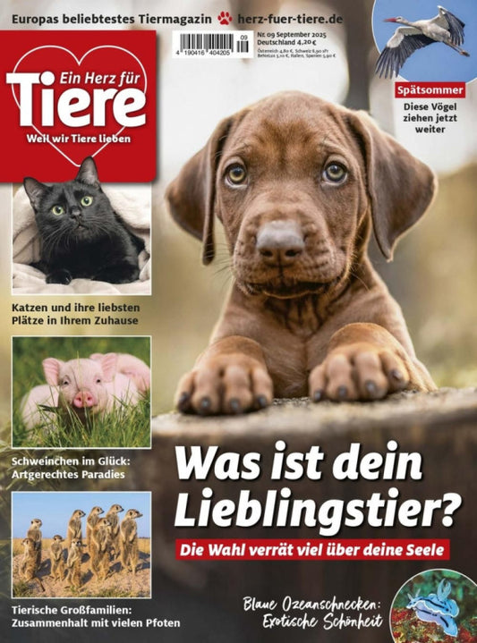 Ein Herz für Tiere Abo
