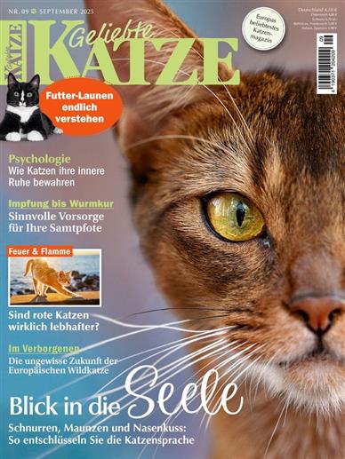 Geliebte Katze Abo